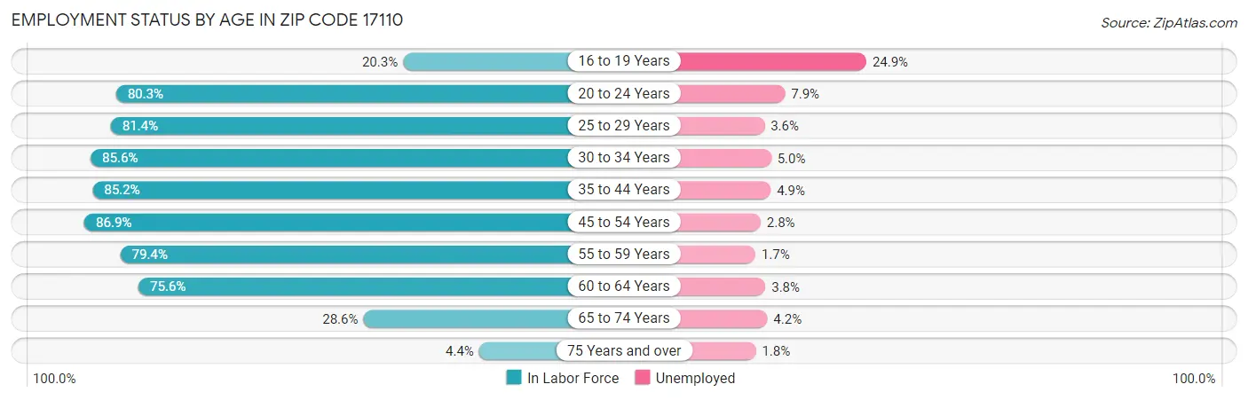 Employment Status by Age in Zip Code 17110