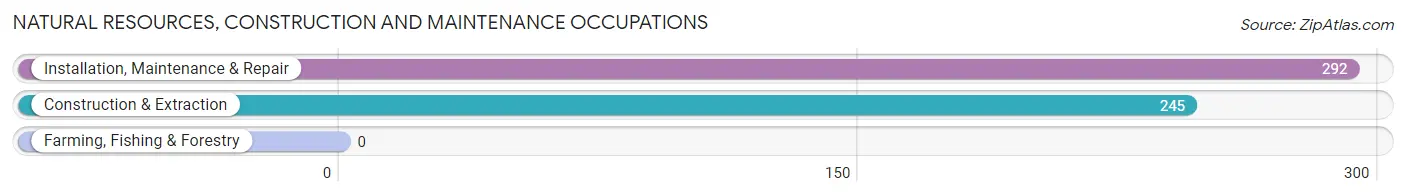 Natural Resources, Construction and Maintenance Occupations in Zip Code 17110