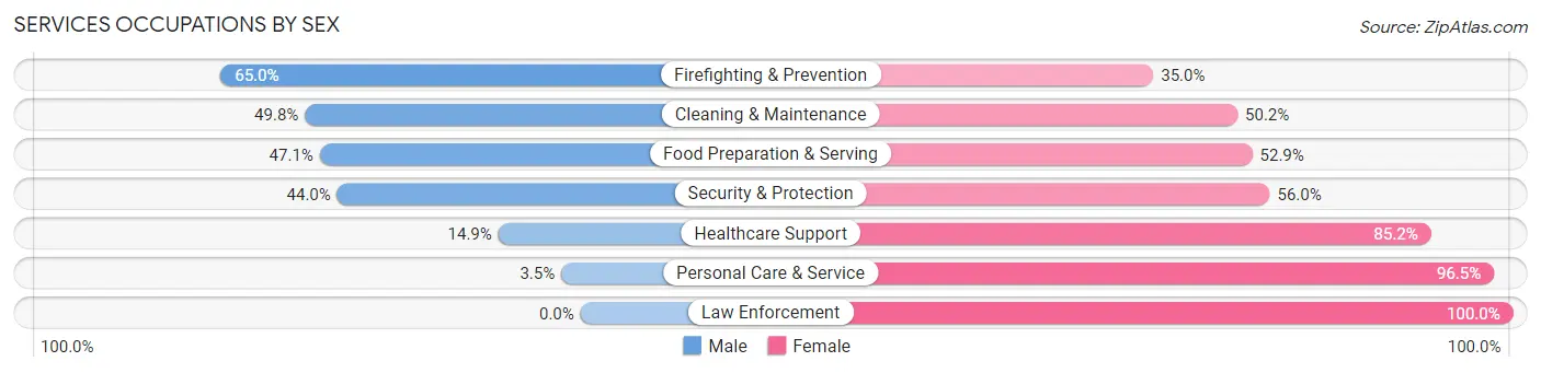 Services Occupations by Sex in Zip Code 17110