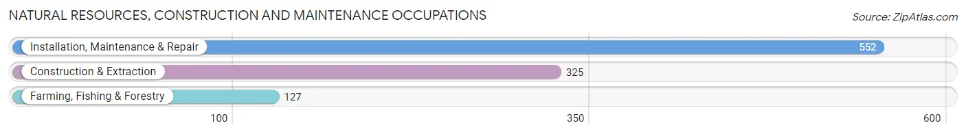 Natural Resources, Construction and Maintenance Occupations in Zip Code 17111