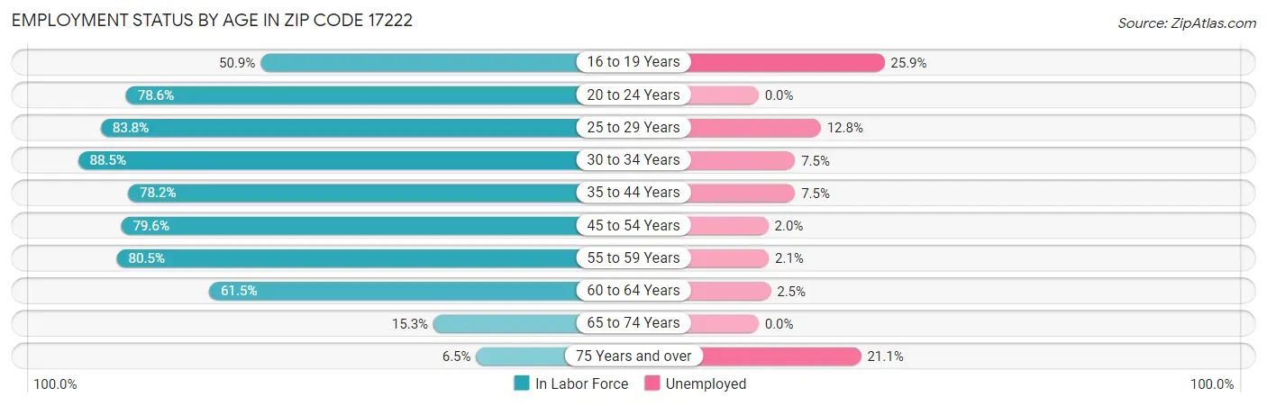 Employment Status by Age in Zip Code 17222