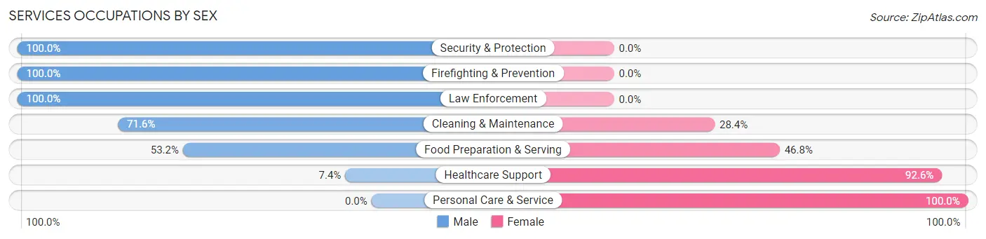 Services Occupations by Sex in Zip Code 17222