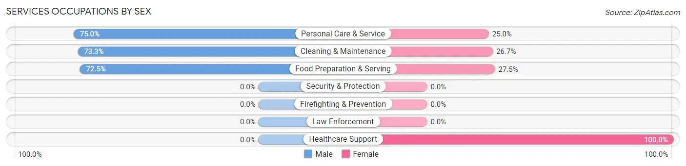 Services Occupations by Sex in Zip Code 17224