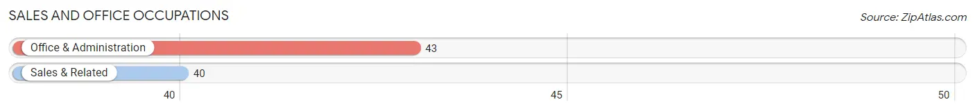 Sales and Office Occupations in Zip Code 17228