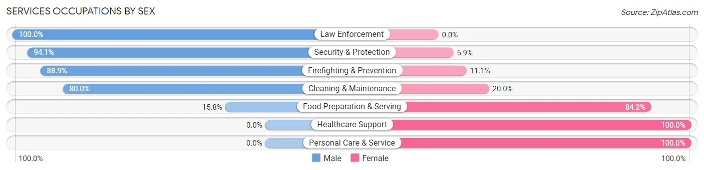 Services Occupations by Sex in Zip Code 17229