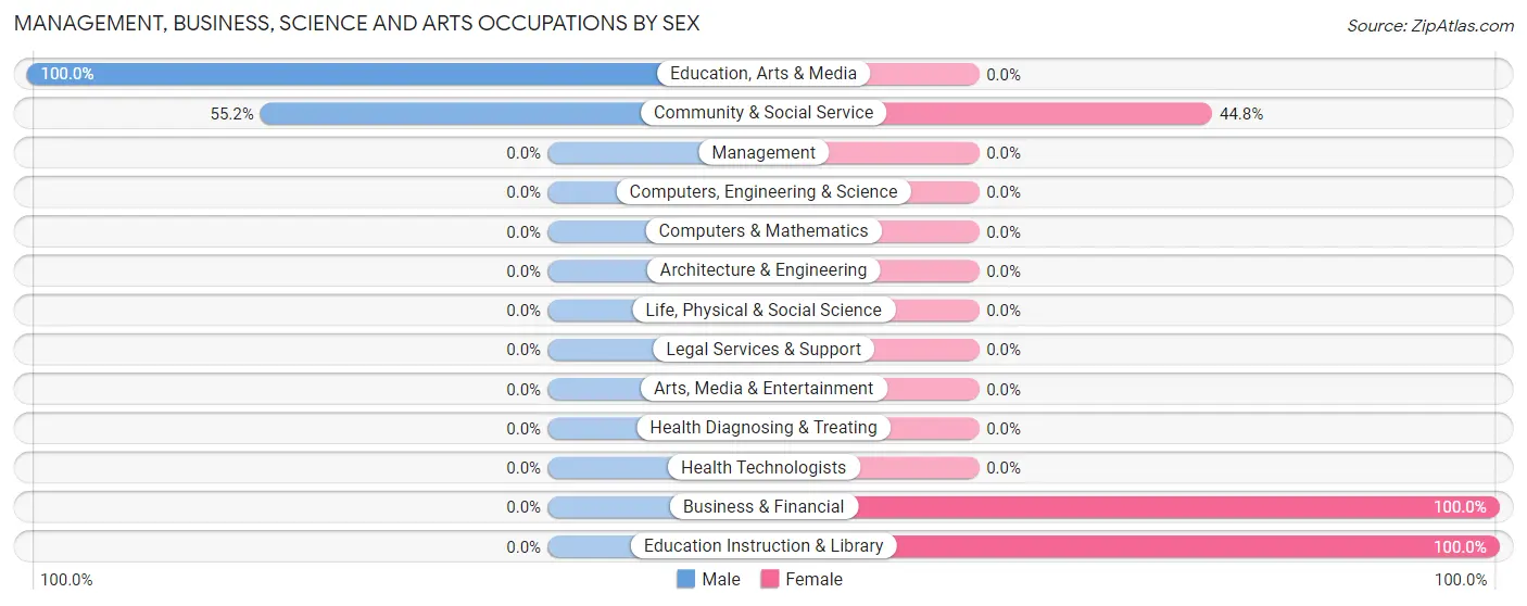 Management, Business, Science and Arts Occupations by Sex in Zip Code 17235