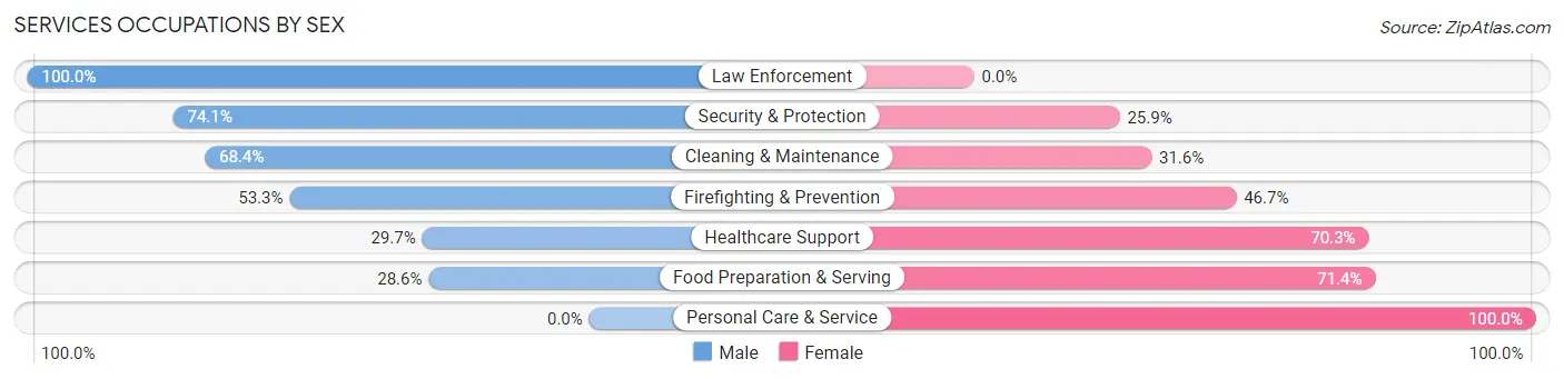 Services Occupations by Sex in Zip Code 17237