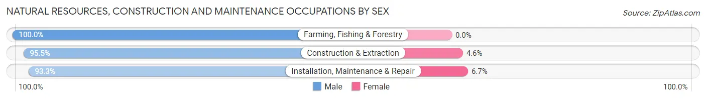 Natural Resources, Construction and Maintenance Occupations by Sex in Zip Code 17238