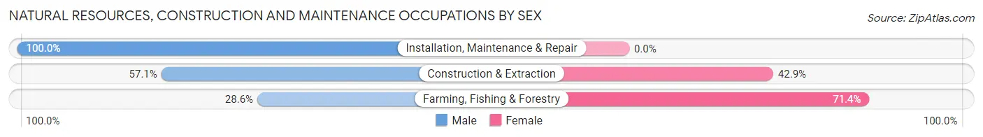Natural Resources, Construction and Maintenance Occupations by Sex in Zip Code 17239