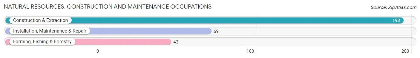 Natural Resources, Construction and Maintenance Occupations in Zip Code 17240