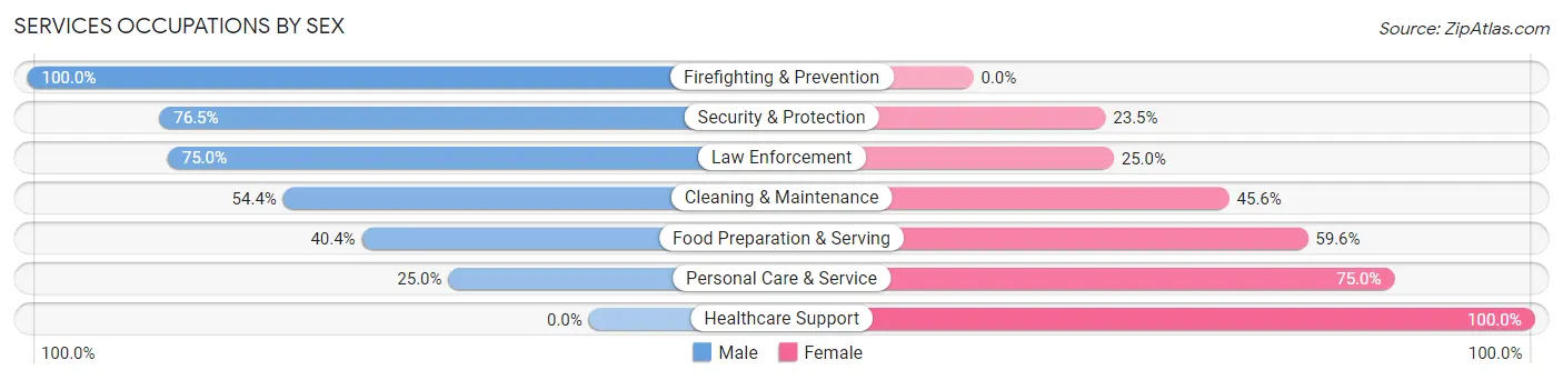Services Occupations by Sex in Zip Code 17240