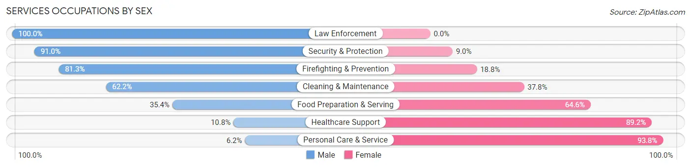 Services Occupations by Sex in Zip Code 17241