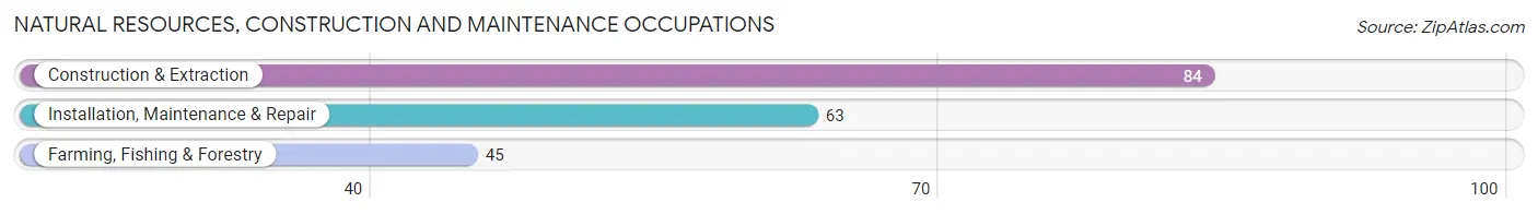 Natural Resources, Construction and Maintenance Occupations in Zip Code 17244