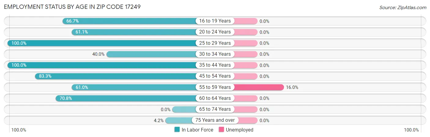 Employment Status by Age in Zip Code 17249