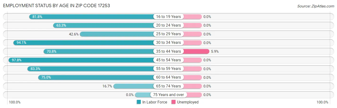 Employment Status by Age in Zip Code 17253