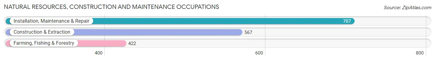 Natural Resources, Construction and Maintenance Occupations in Zip Code 17257