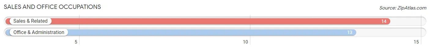 Sales and Office Occupations in Zip Code 17260