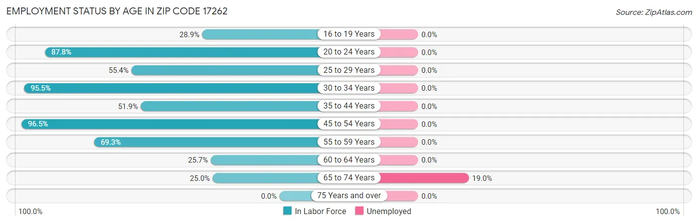 Employment Status by Age in Zip Code 17262