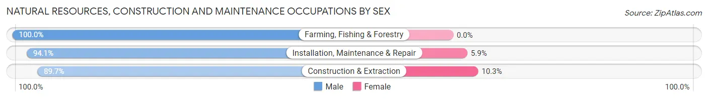 Natural Resources, Construction and Maintenance Occupations by Sex in Zip Code 17264