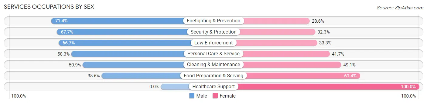 Services Occupations by Sex in Zip Code 17301