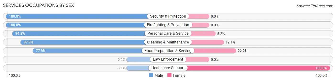 Services Occupations by Sex in Zip Code 17302