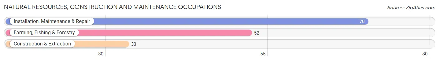 Natural Resources, Construction and Maintenance Occupations in Zip Code 17304