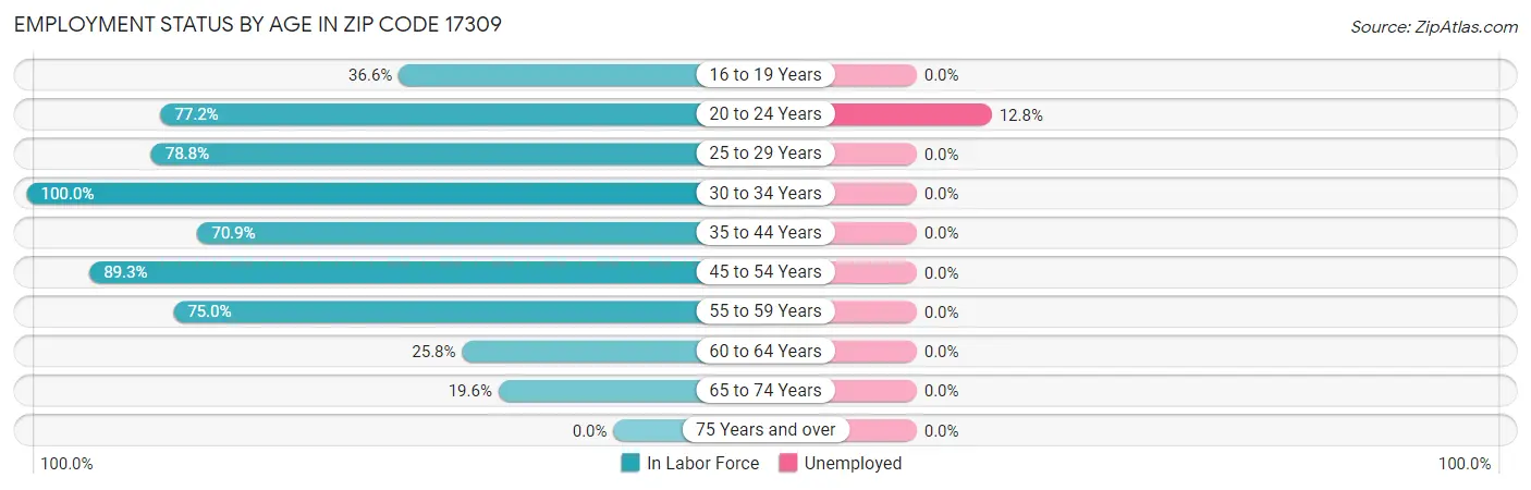 Employment Status by Age in Zip Code 17309