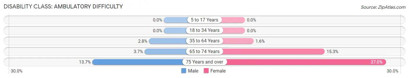 Disability in Zip Code 17314: <span>Ambulatory Difficulty</span>