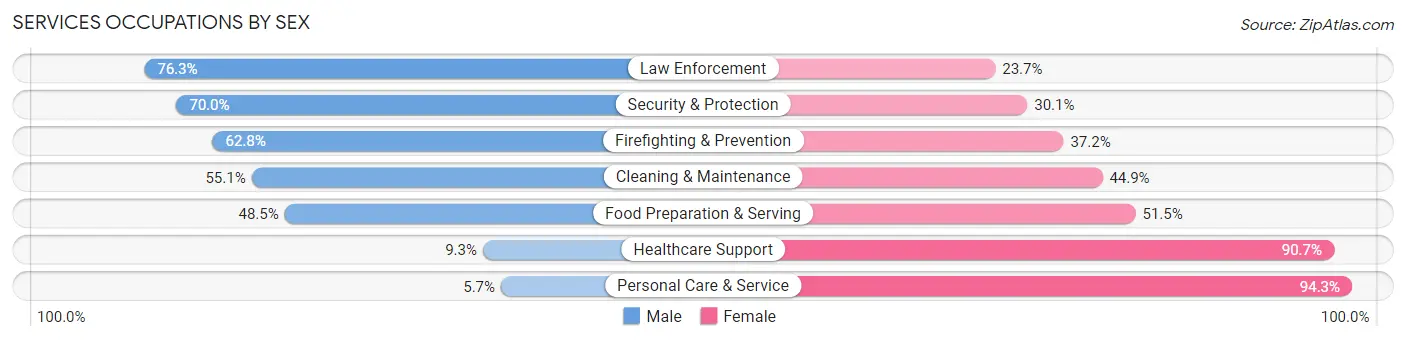 Services Occupations by Sex in Zip Code 17315