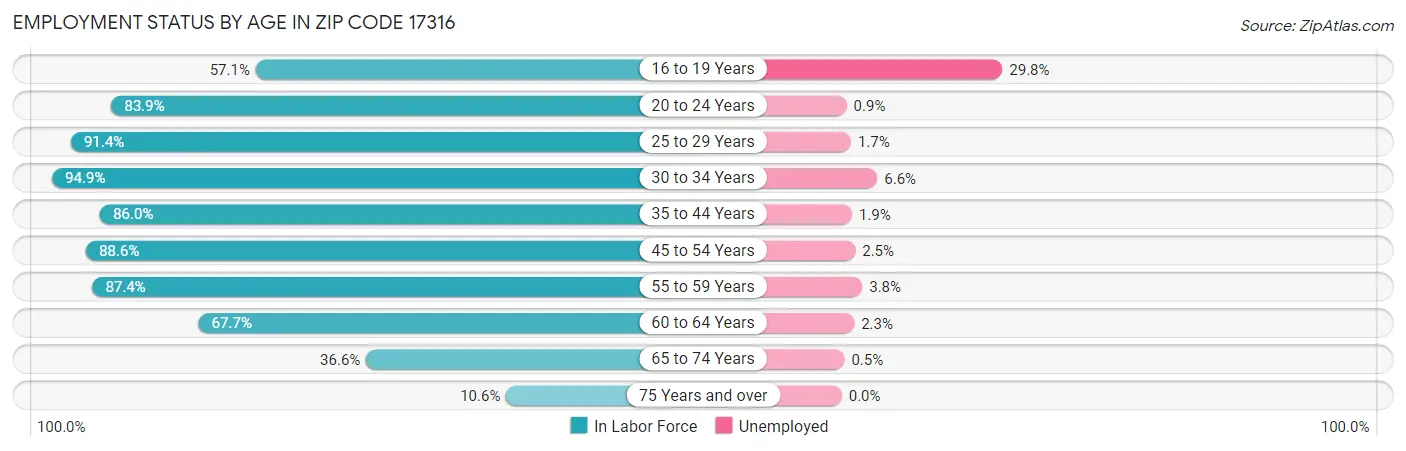 Employment Status by Age in Zip Code 17316
