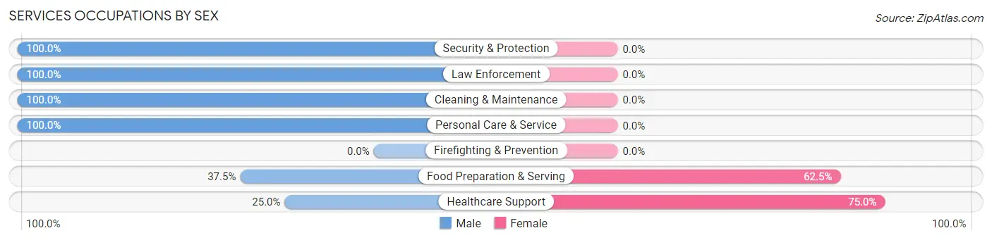 Services Occupations by Sex in Zip Code 17317