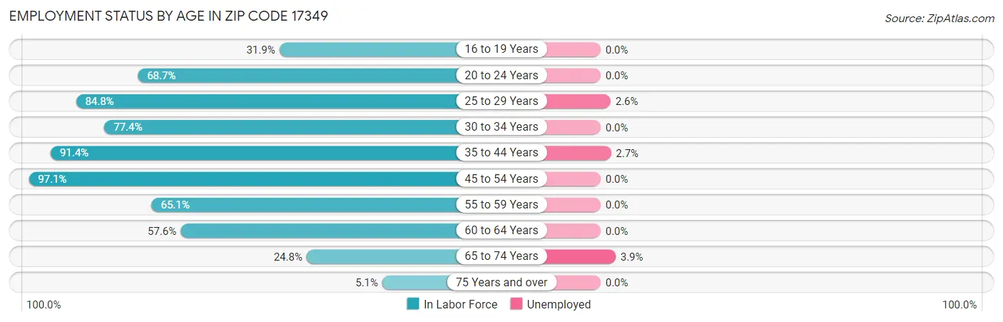 Employment Status by Age in Zip Code 17349