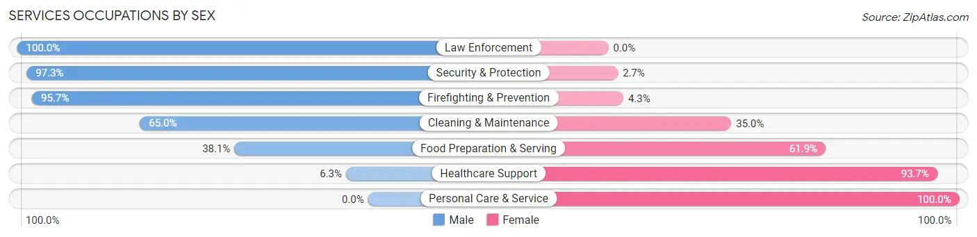 Services Occupations by Sex in Zip Code 17350
