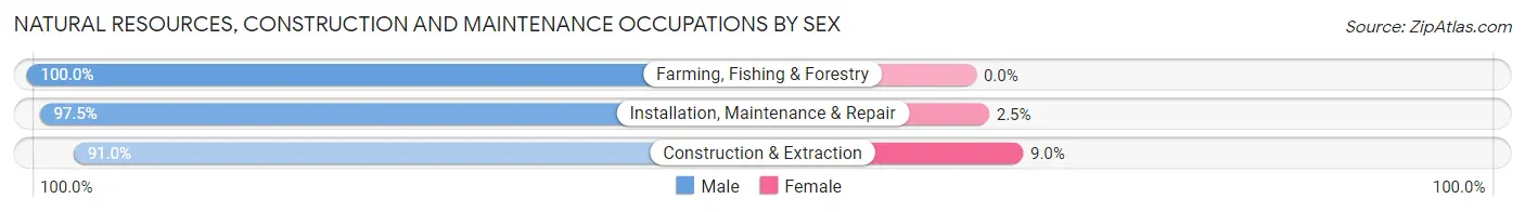 Natural Resources, Construction and Maintenance Occupations by Sex in Zip Code 17362