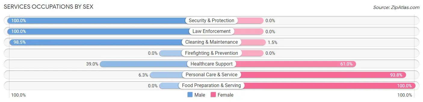Services Occupations by Sex in Zip Code 17365