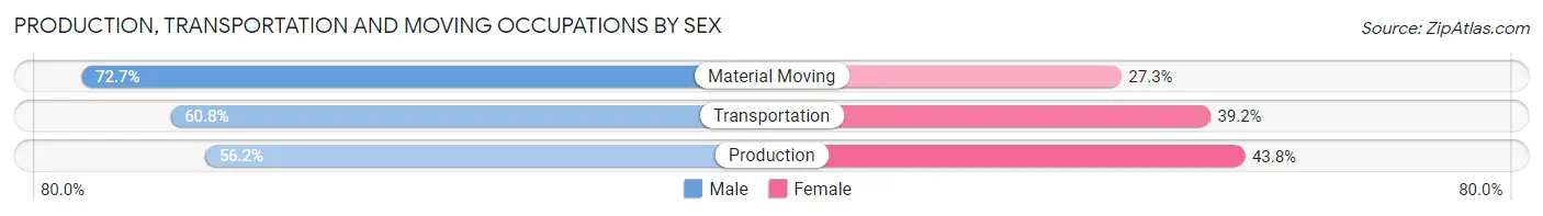 Production, Transportation and Moving Occupations by Sex in Zip Code 17401