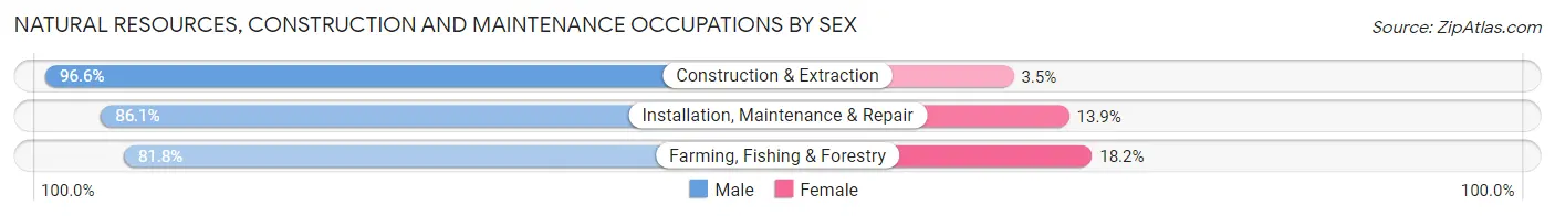 Natural Resources, Construction and Maintenance Occupations by Sex in Zip Code 17403
