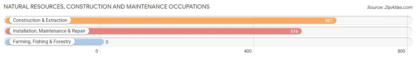 Natural Resources, Construction and Maintenance Occupations in Zip Code 17406