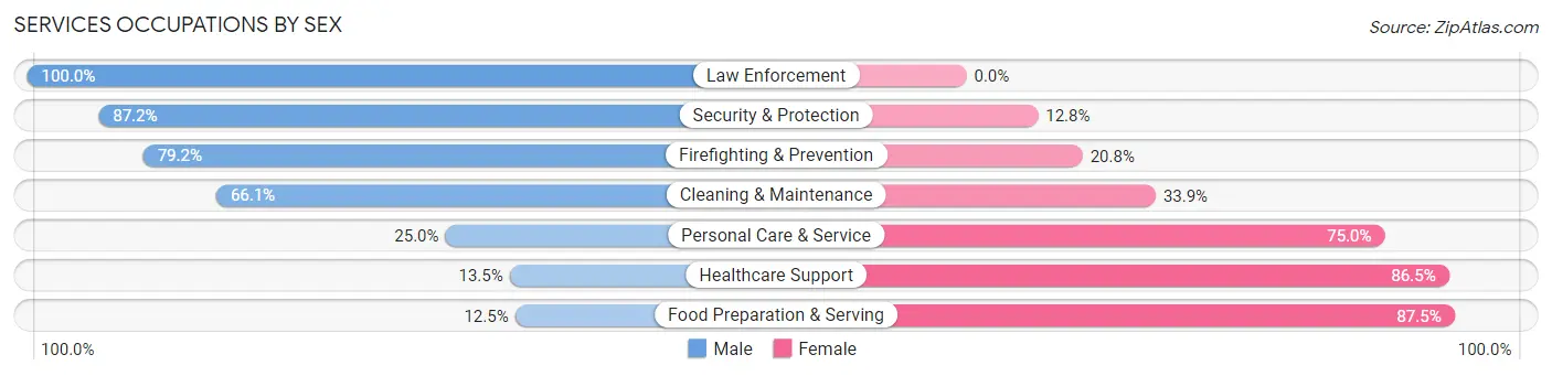 Services Occupations by Sex in Zip Code 17501