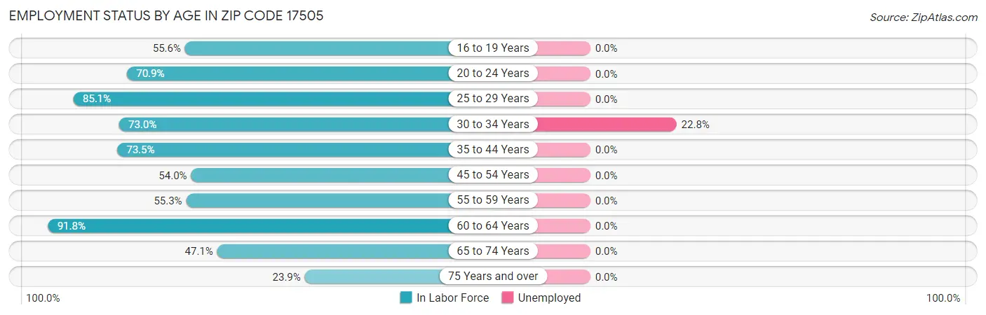 Employment Status by Age in Zip Code 17505