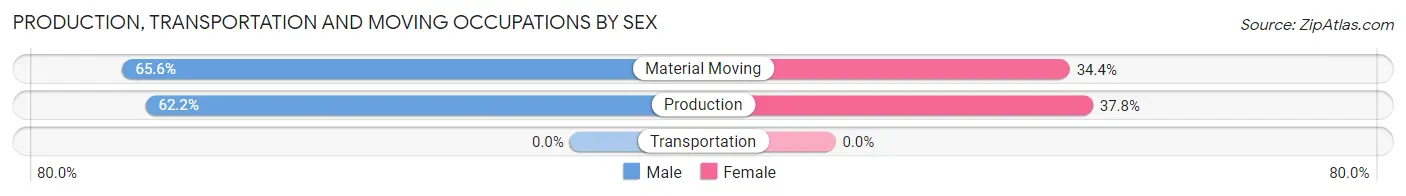 Production, Transportation and Moving Occupations by Sex in Zip Code 17505