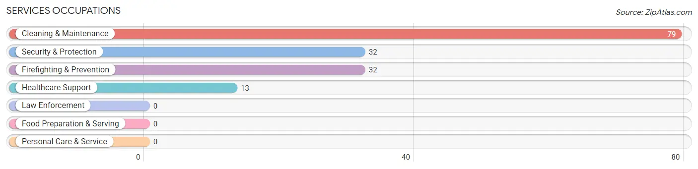 Services Occupations in Zip Code 17508