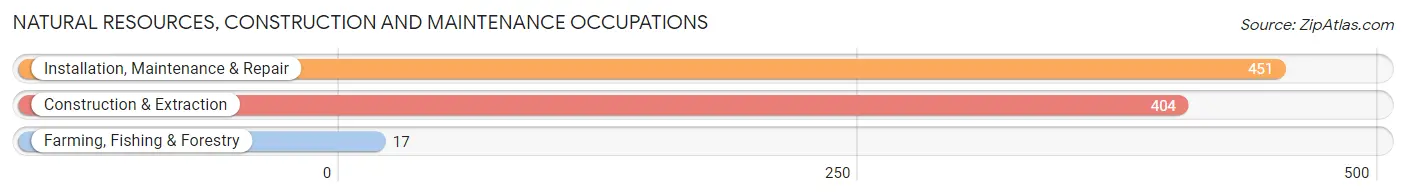 Natural Resources, Construction and Maintenance Occupations in Zip Code 17512