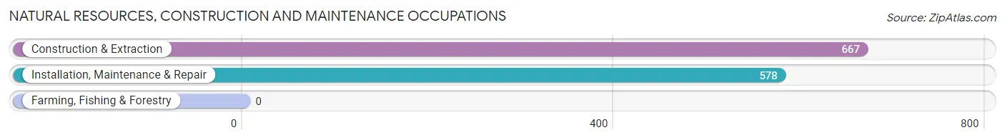 Natural Resources, Construction and Maintenance Occupations in Zip Code 17517