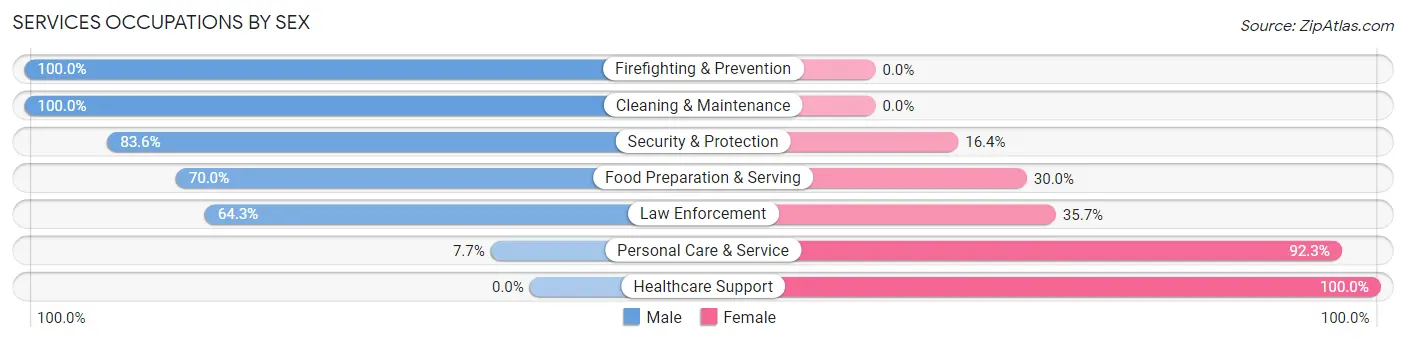 Services Occupations by Sex in Zip Code 17519