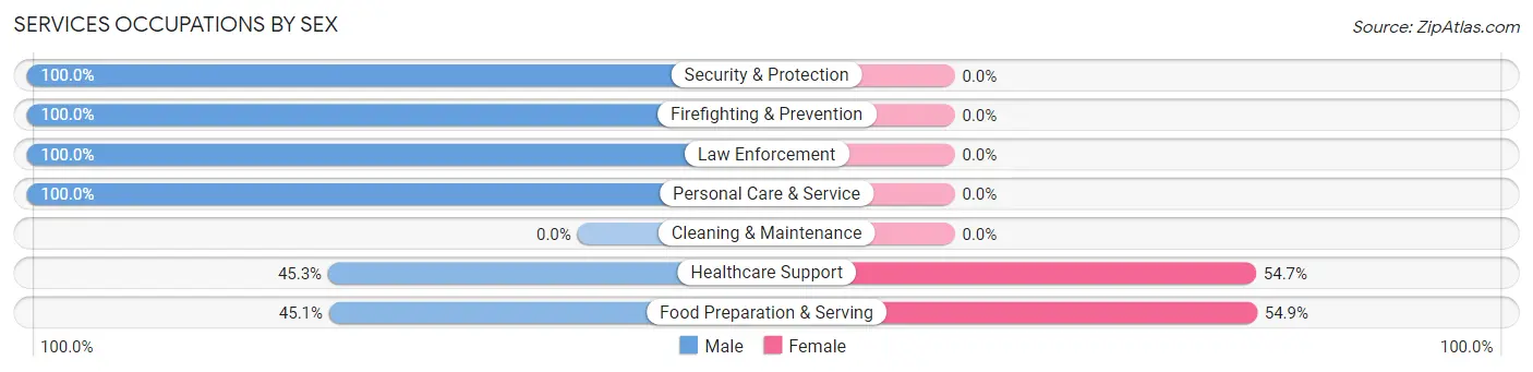 Services Occupations by Sex in Zip Code 17532
