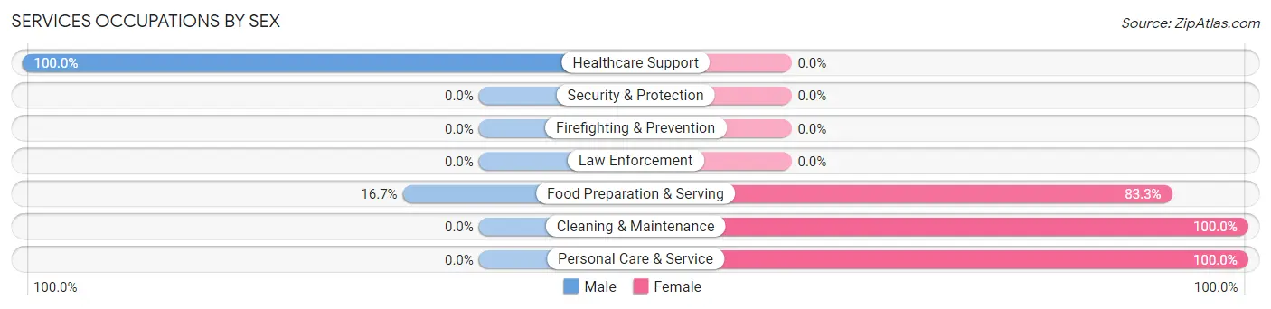 Services Occupations by Sex in Zip Code 17535