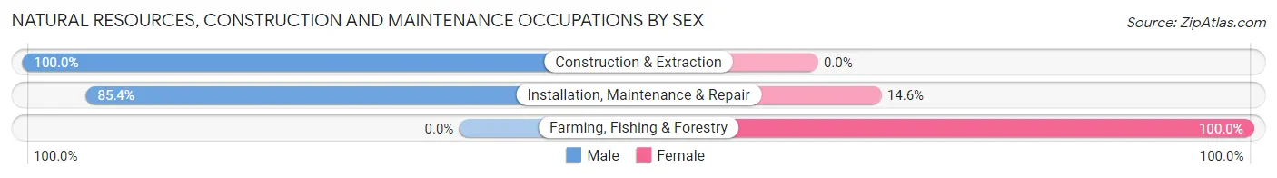 Natural Resources, Construction and Maintenance Occupations by Sex in Zip Code 17538
