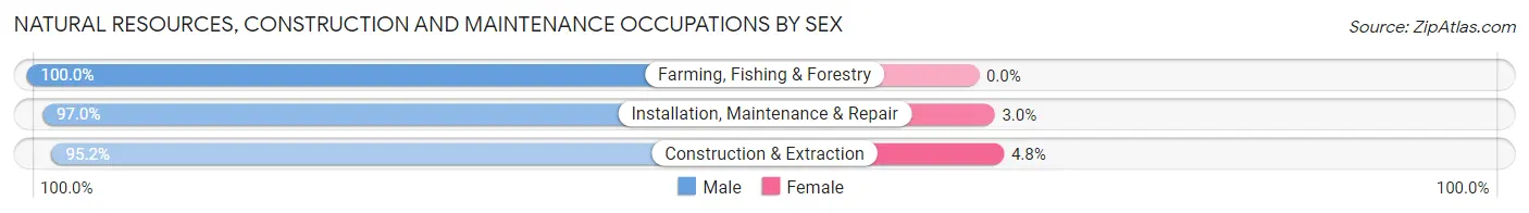 Natural Resources, Construction and Maintenance Occupations by Sex in Zip Code 17543