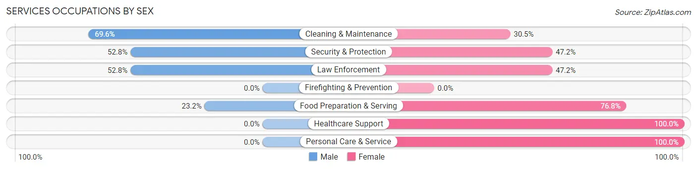 Services Occupations by Sex in Zip Code 17545